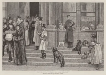 The Dog Question, No Admittance